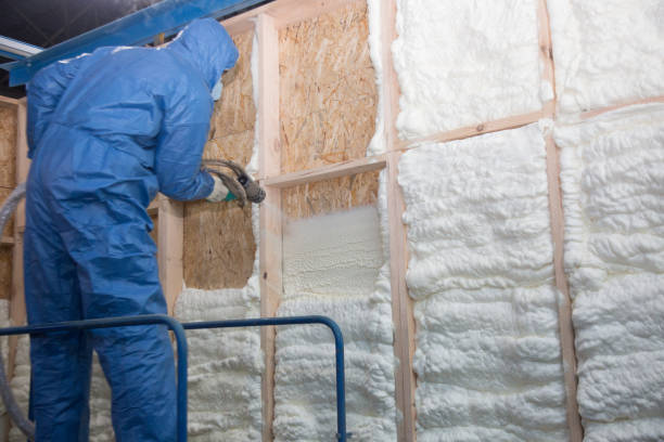 Best Batt and Roll Insulation in Belton, SC